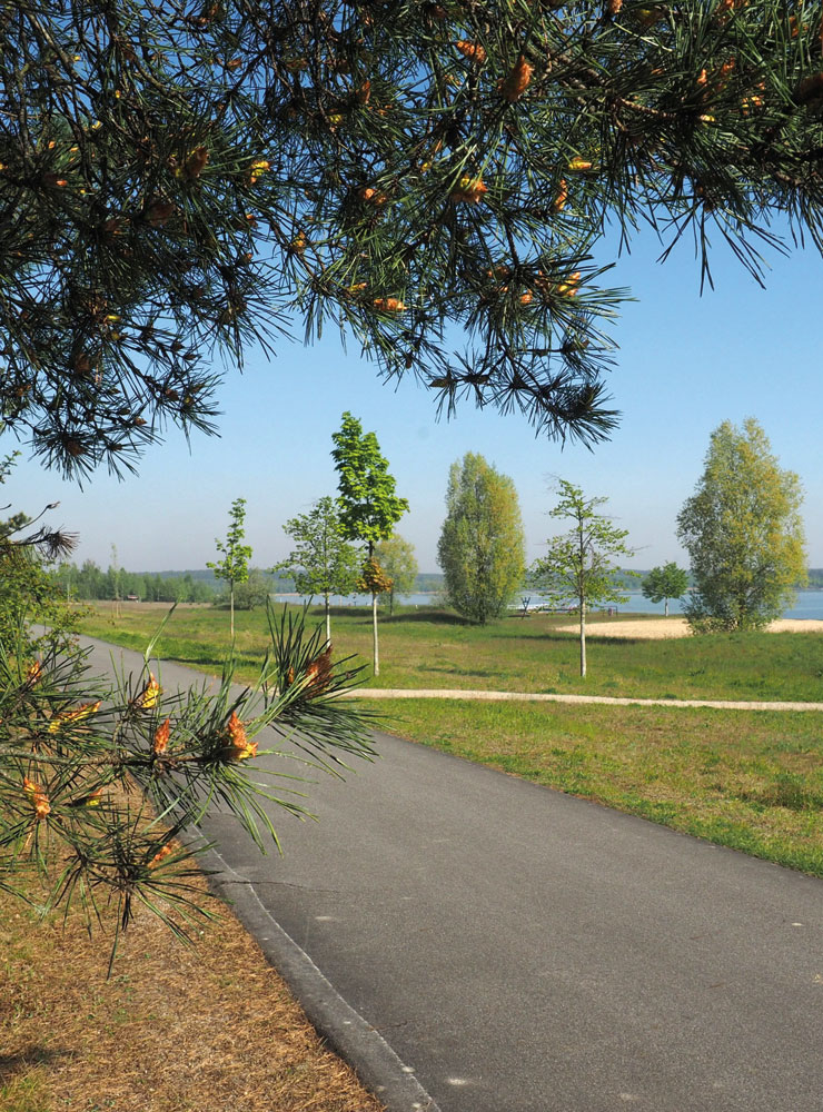 Den Bärwalder See umrunden, der Spree folgen, Waldwege genießen – ganz im Norden Sachsens wartet ein lohnenswertes Ausflugsziel.

© Foto: Karsten Blüthgen