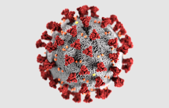 Das SARS-CoV-2-Virus Das SARS-CoV-2-Virus